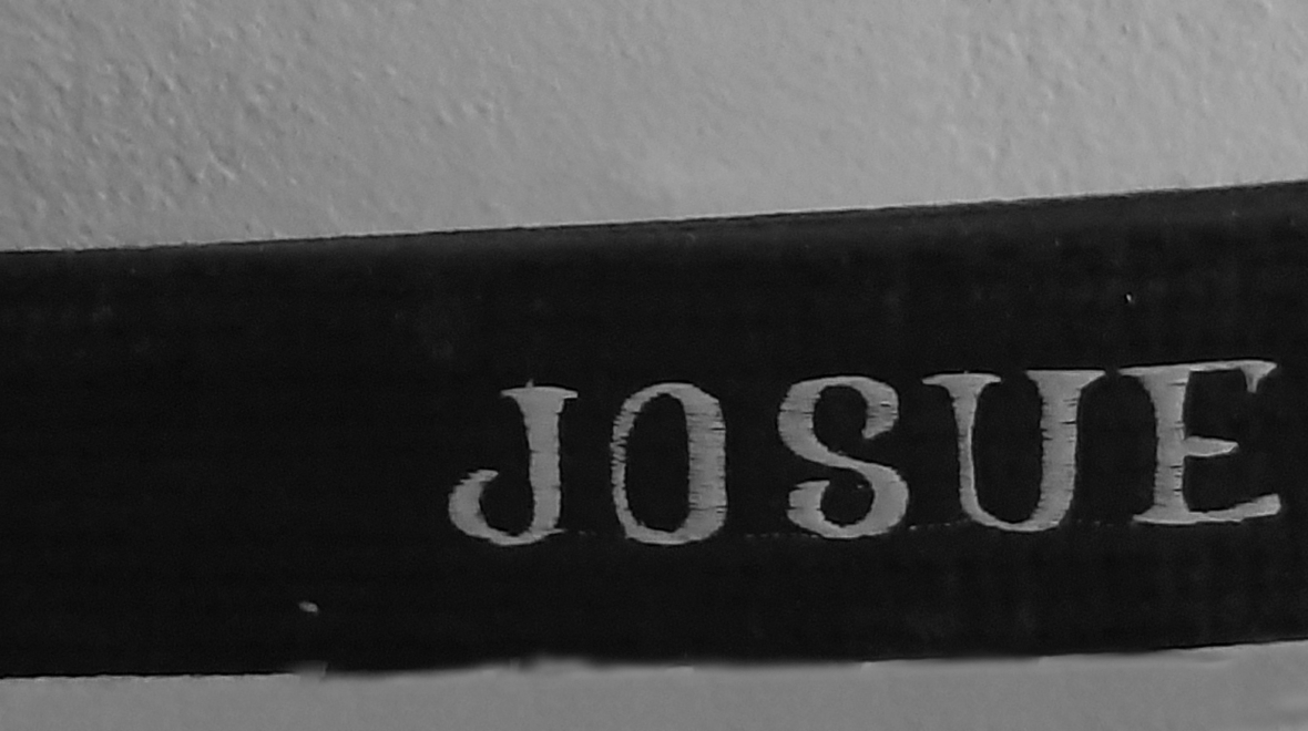 I also liked martial arts